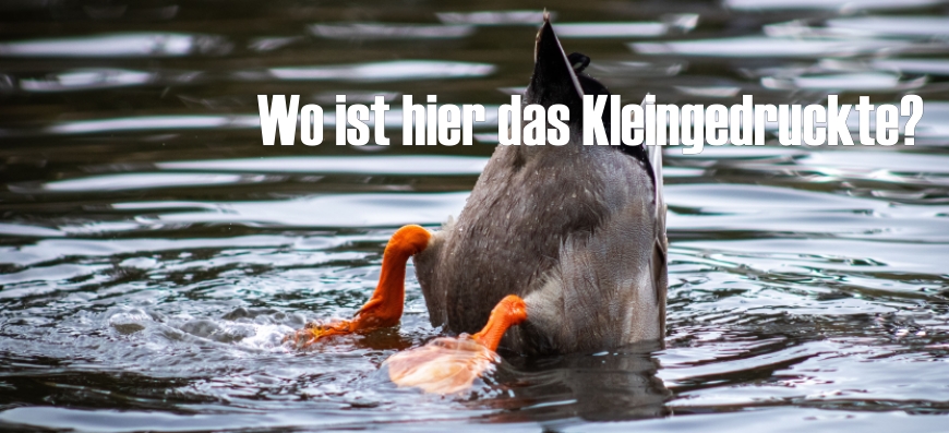 Ofenhaus Feuerstelle Roland Kray Impressum