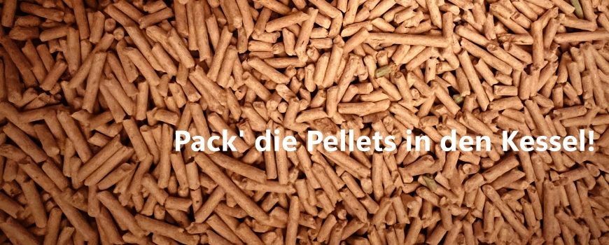 Ofenhaus Feuerstelle Roland Kray Pelletkessel