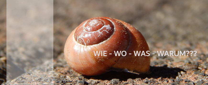 Ofenhaus Feuerstelle Roland Kray Datenschutz