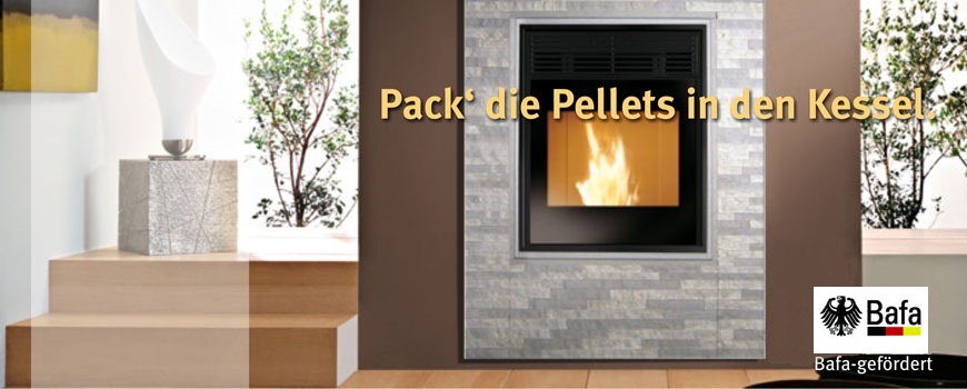 Ofenhaus Feuerstelle Roland Kray Pelletkessel