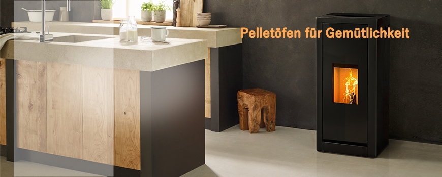 Ofenhaus Feuerstelle Roland Kray Pelletofen